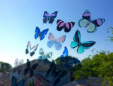 real butterfly stickers