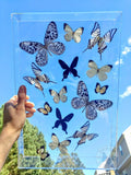 black white butterflies