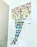 butterfly wall art