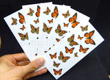 monarch butterfly tattoo