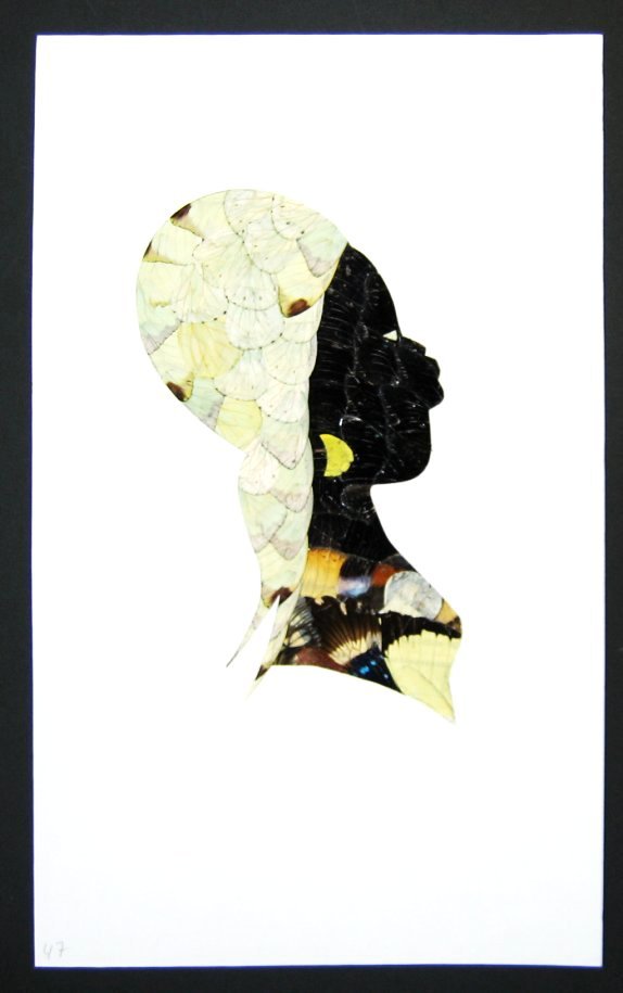 african butterfly wing art