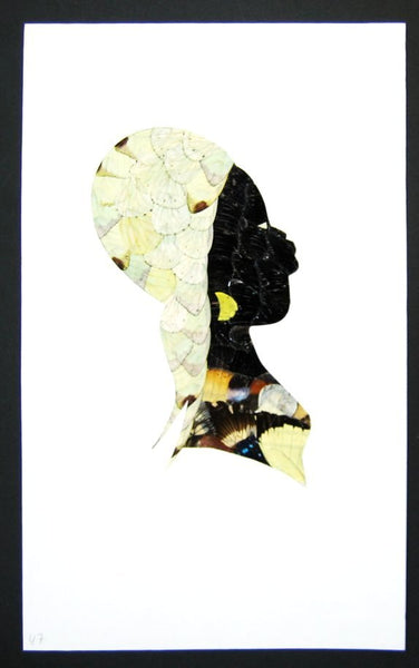 african butterfly wing art