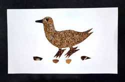 Duck - Unframed - D01