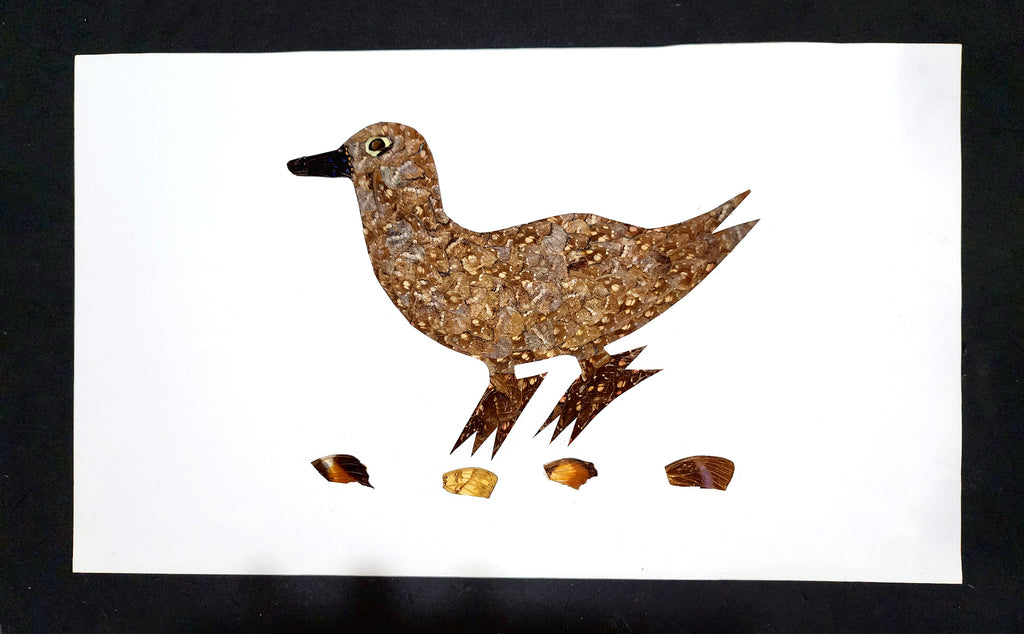 Duck - Unframed - D04