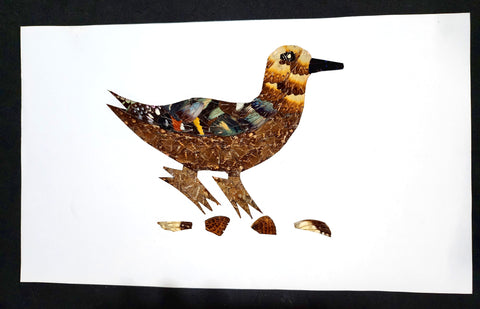 duck wing art