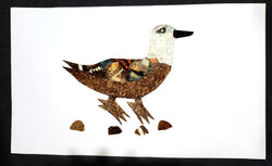 Duck - Unframed - D06