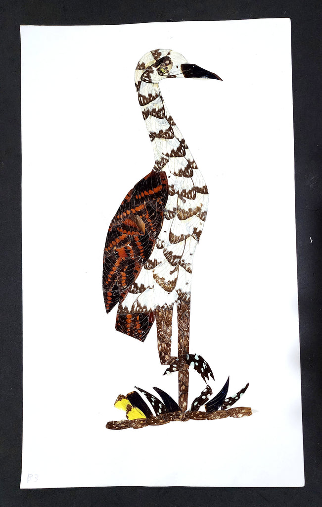 bird butterfly wing art