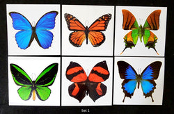 large butterfly tattoos