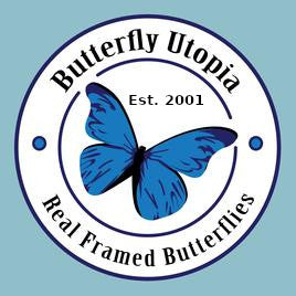 Butterfly Utopia