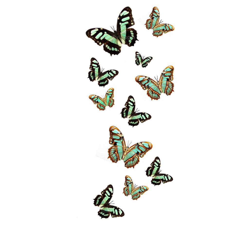 malachite temporary tattoos