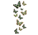 malachite temporary tattoos