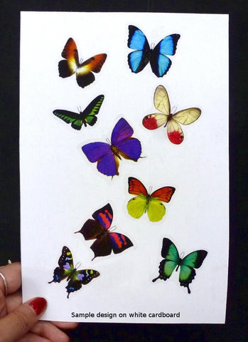 15 Butterfly Decals - Size information in Description – Inkwood Impressions