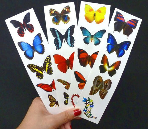 3D Butterfly Stickers 