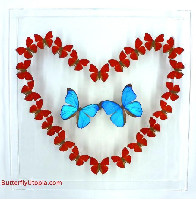 Red Heart Butterflies