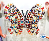 real butterfly shape art