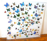 big real butterfly art