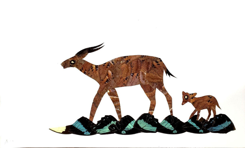 Antelope - Unframed - A15