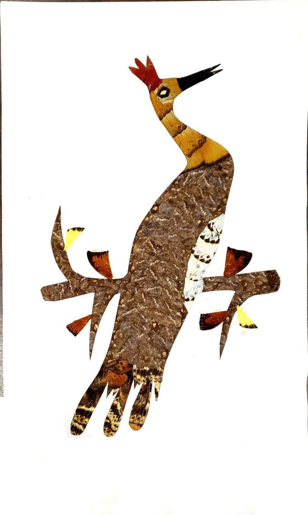 bird art