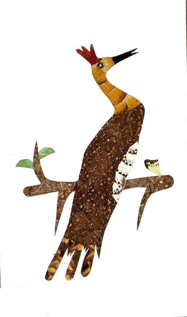 african bird art