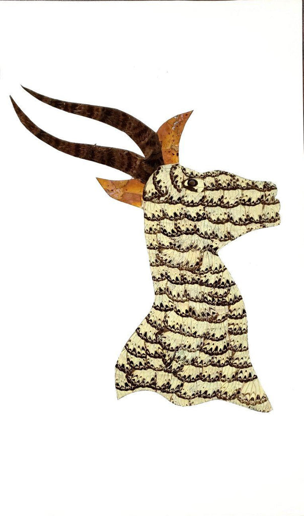 Antelope Head - Unframed - H1