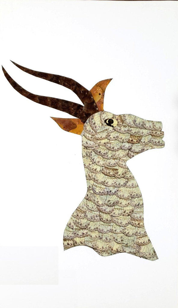 antelope