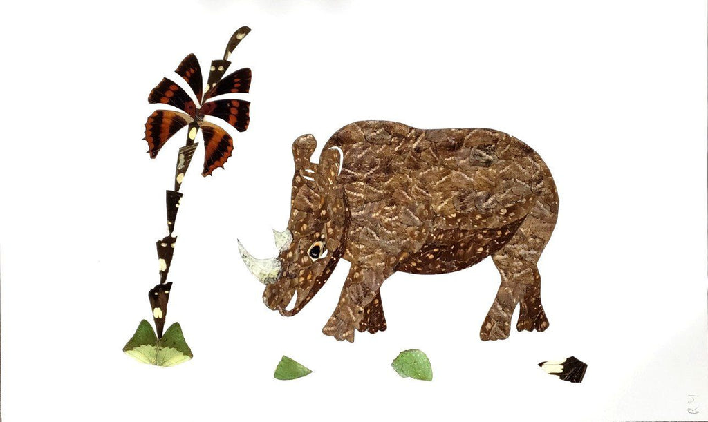 rhino art