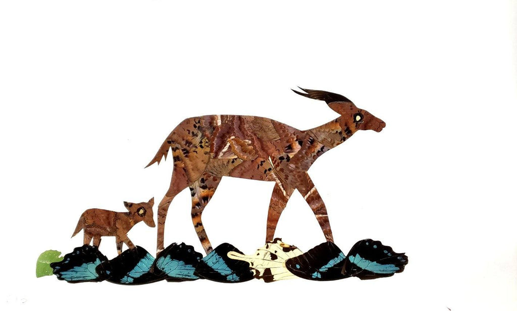 Antelope - Unframed - A13