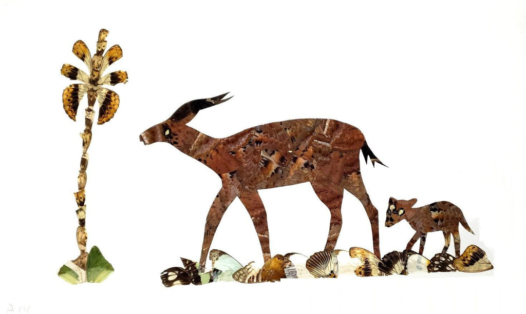 Antelope - Unframed - A14