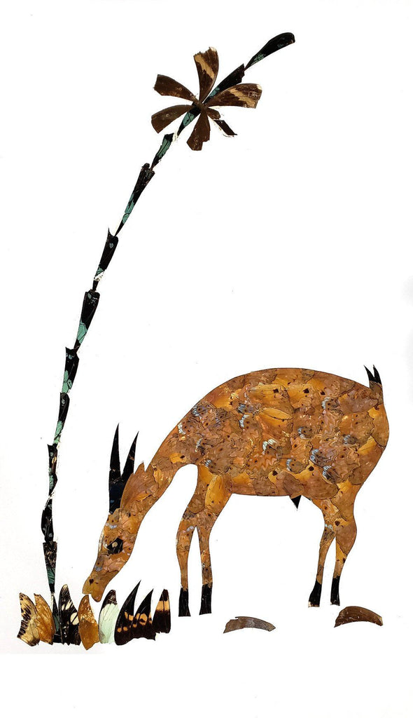 Antelope - Unframed - A3
