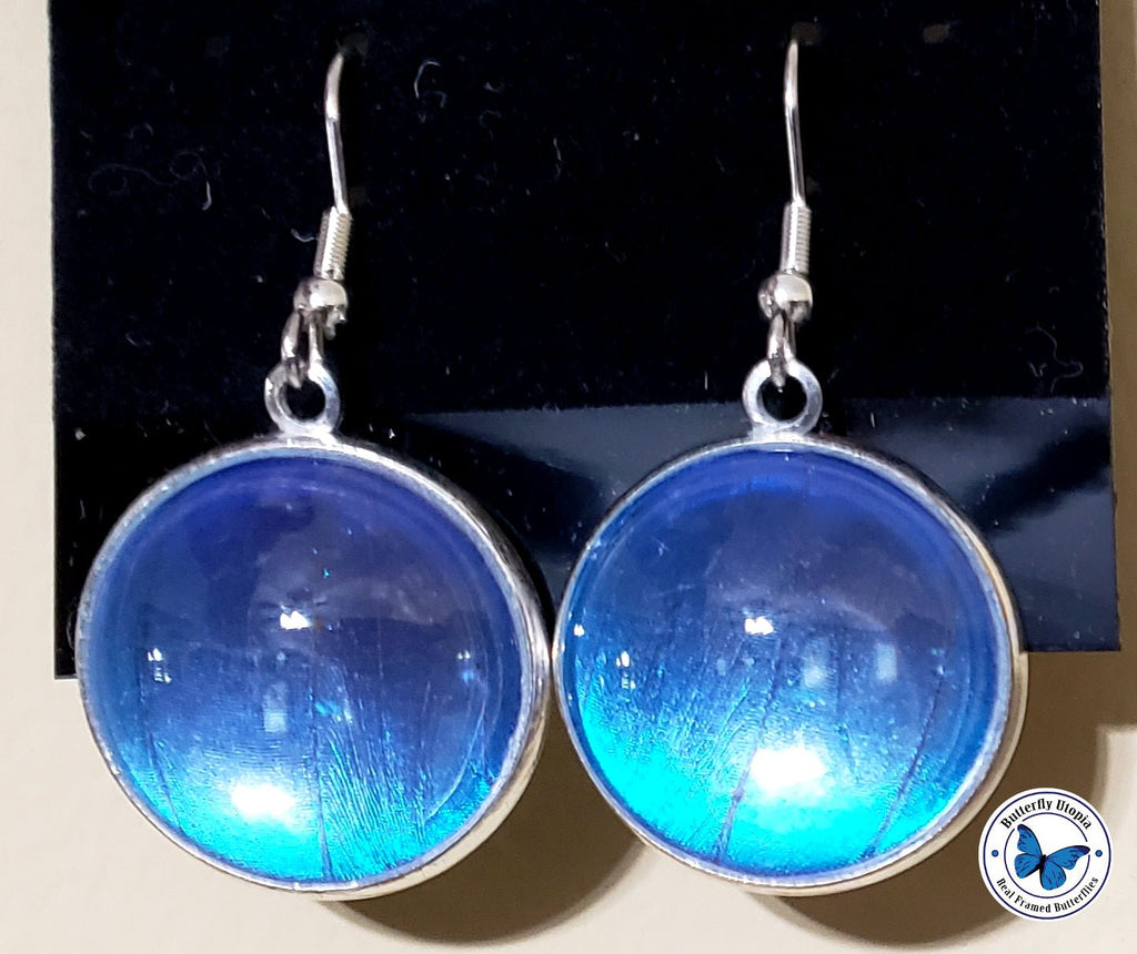 blue morpho wing earring