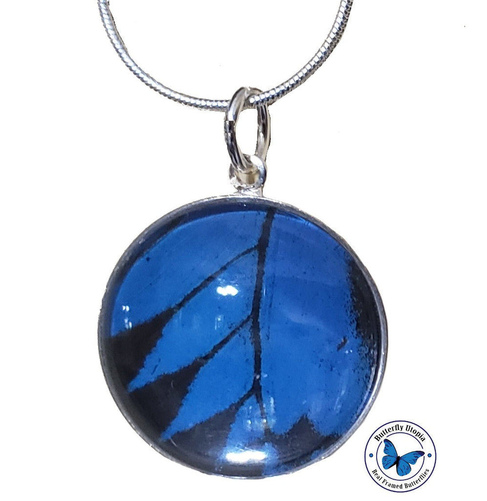 Blue black butterfly wing jewelry 