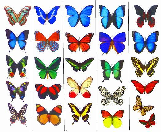 butterfly ankle tattoos