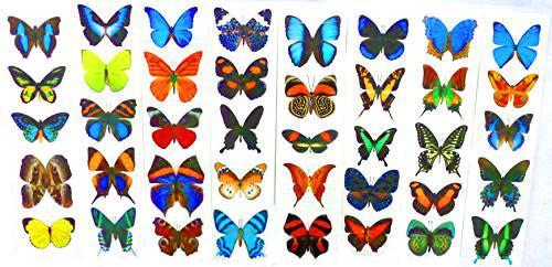 butterflies tattoos