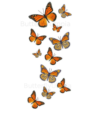 monarch butterfly tattoo sketches