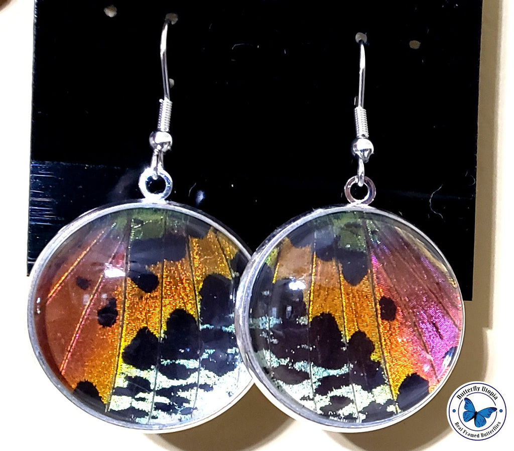 Sunset Moth Wing Earring
