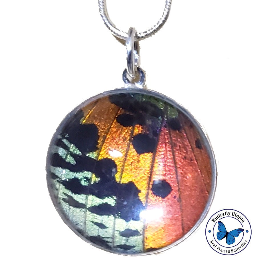 Sunset Moth Butterfly Jewelry pendant